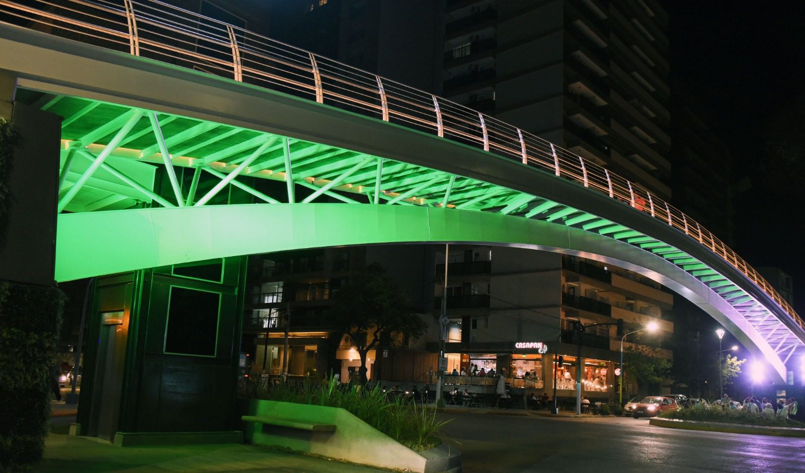 “Día Nacional de la Donación de Órganos”: El puente peatonal de la Mate de Luna se ilumina de verde