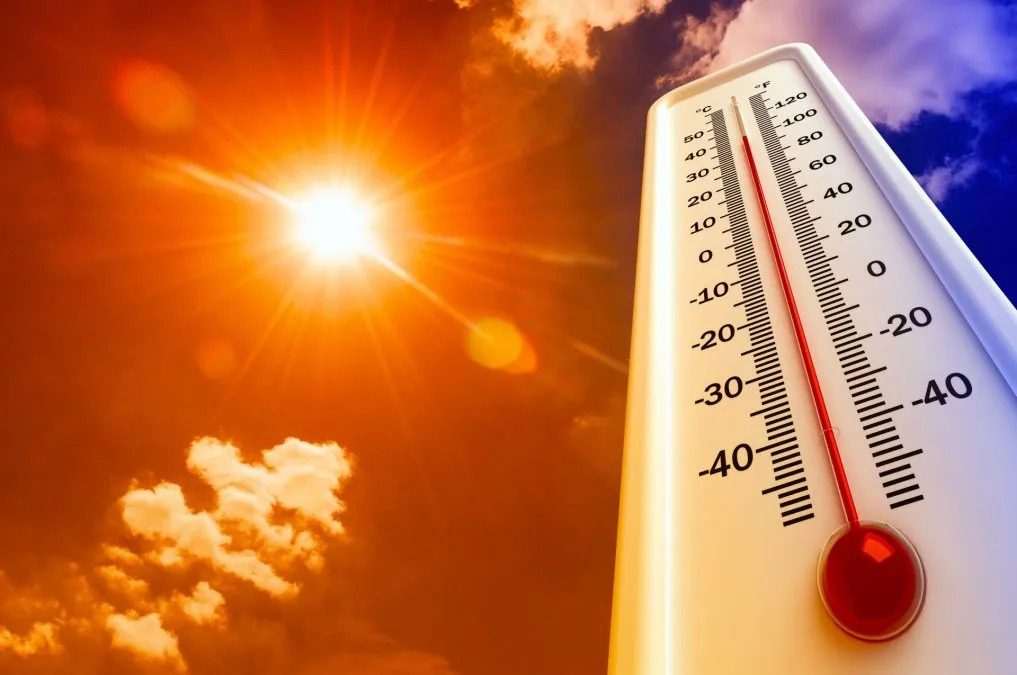 Ola de calor en el norte argentino: fin de semana con temperaturas de hasta 45°C